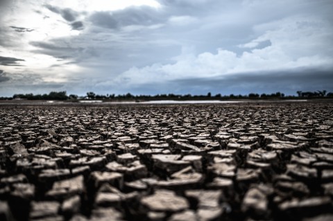 Expertos CETAM-USM opinan en el Día Mundial contra la Desertificación y la Sequía