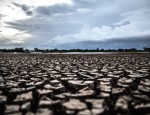 Expertos CETAM-USM opinan en el Día Mundial contra la Desertificación y la Sequía
